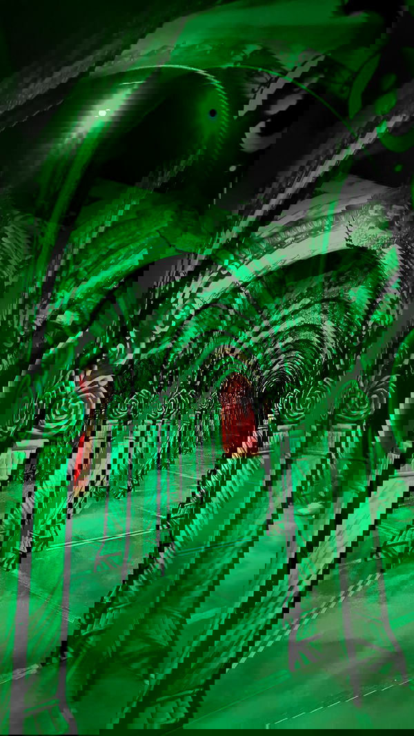 zommmbri zommmbri archive image