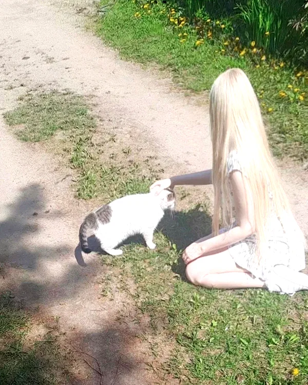 Archived image from @ssarnvd on Instagram