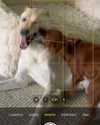 gabbyepstein Altpins Profile Picture