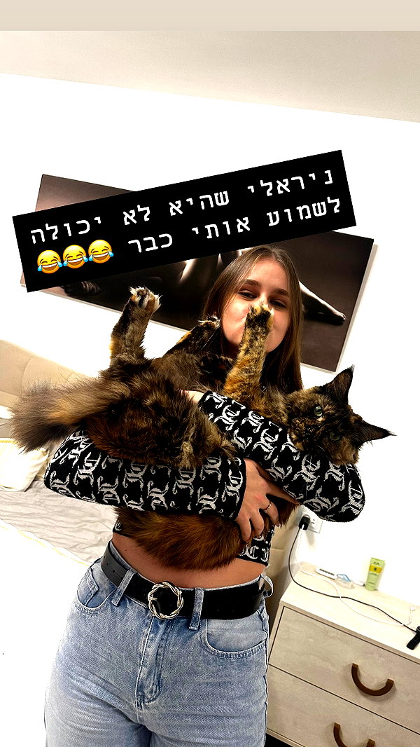 valeryy.t1 valeryy.t1 archive image