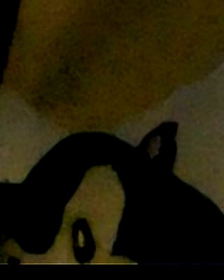 madeline__xc instagram image archive image