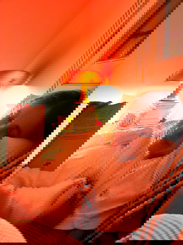 iambohema.v2 iambohema.v2 archive image