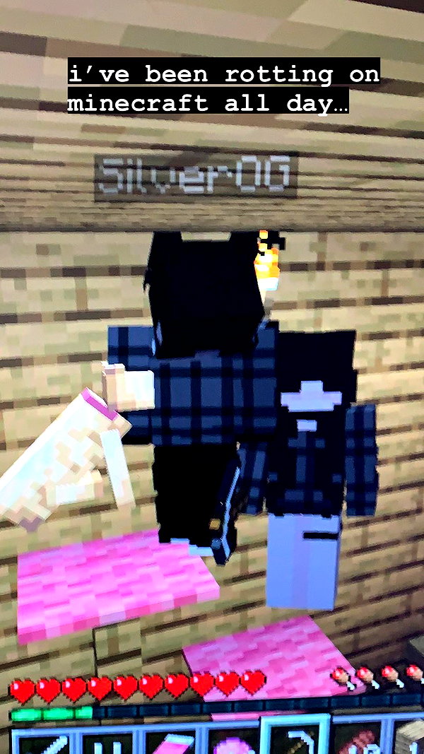 svgarbvnnies instagram image archive image