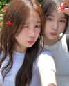 _jyying Altpins Profile Picture