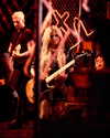 avrillavigne Altpins Profile Picture