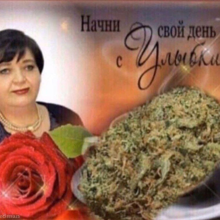 annfigmax instagram image archive image