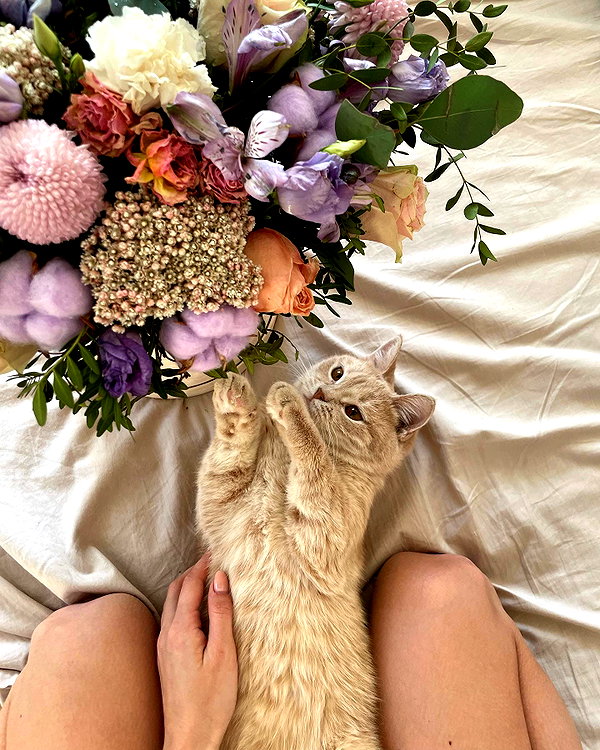 lerkamiill instagram image archive image