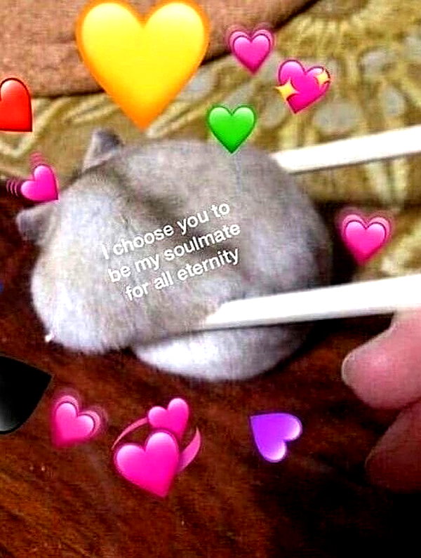 milkiwifey instagram image archive image