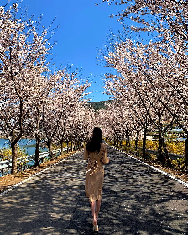 daxbin instagram image archive image