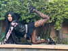 dreambabydrea Altpins Profile Picture