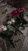 ash.onme Altpins Profile Picture