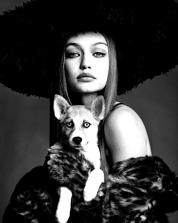 gigihadid instagram image archive image