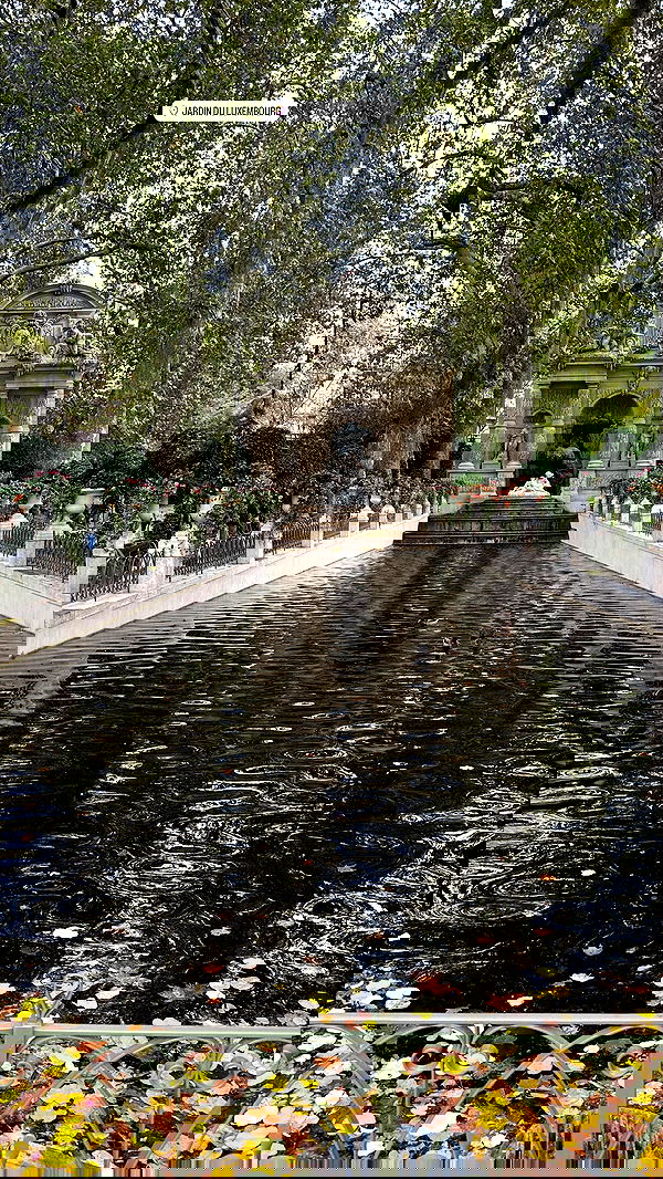 taylor.creeden taylor.creeden archive image