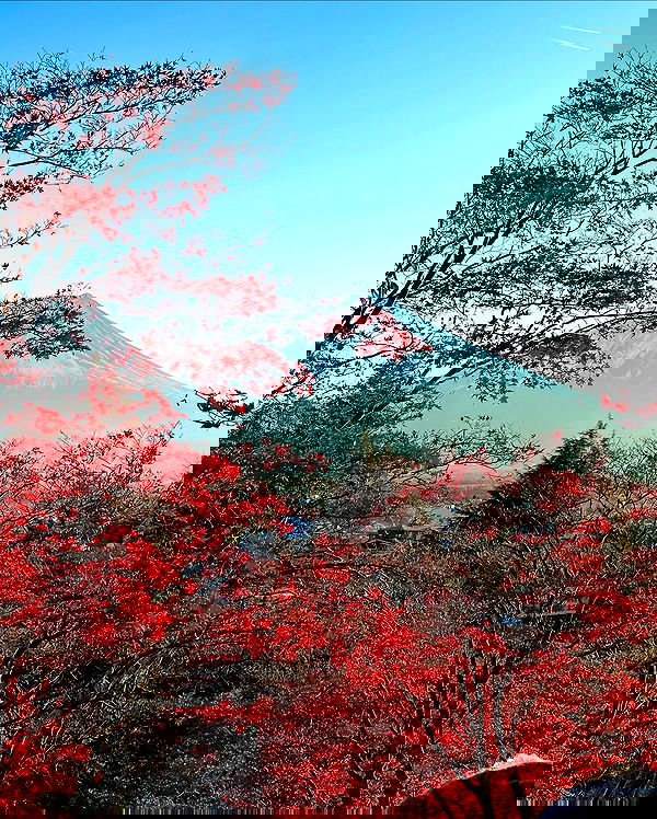 taylor.creeden taylor.creeden archive image