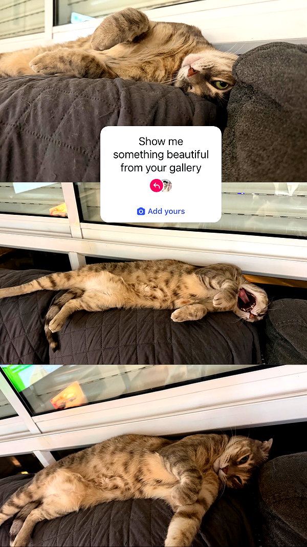 Archived image from @notchicore on Instagram