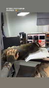 darkstar_mia Altpins Profile Picture