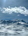 michalcohen___ Altpins Profile Picture