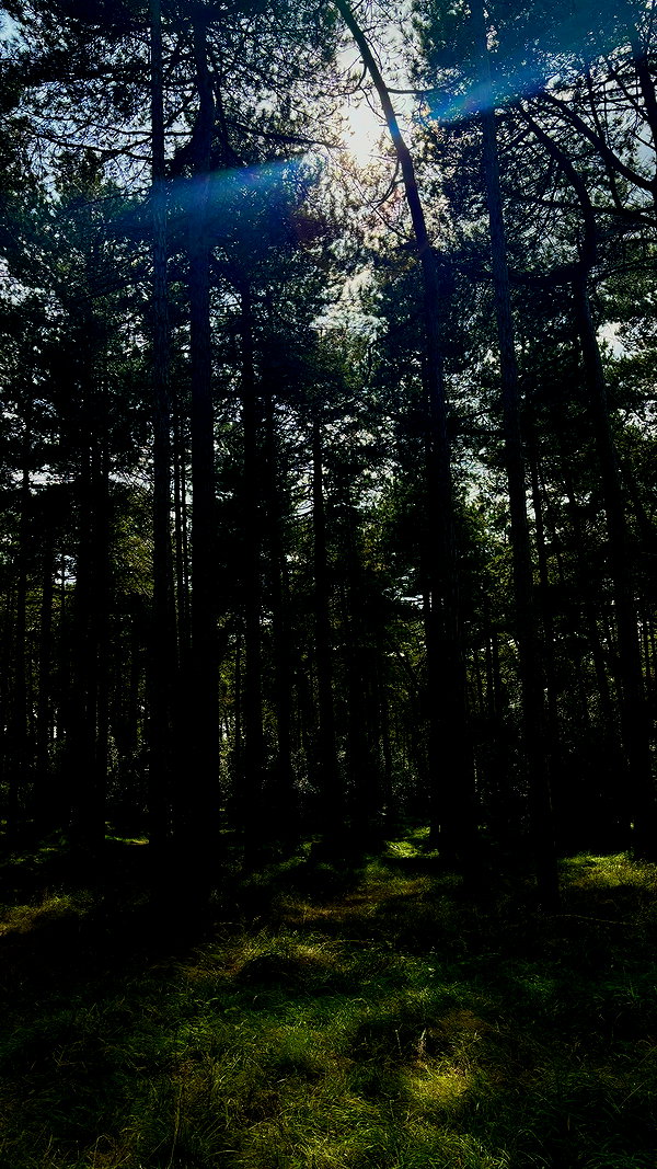 mollieruck instagram image archive image