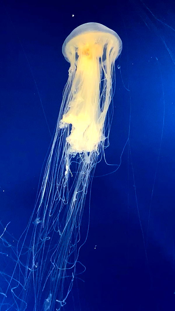 2sugari instagram image archive image