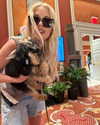 ashleybenson Altpins Profile Picture