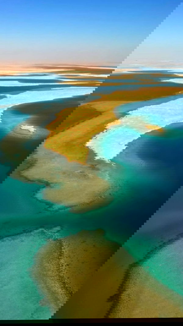 taylor.creeden taylor.creeden archive image