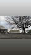 valeria.potti Altpins Profile Picture