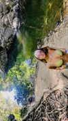 pia__kim Altpins Profile Picture