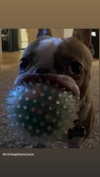 babynympho_archive Altpins Profile Picture