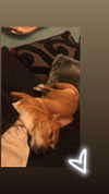 bat.wiings Altpins Profile Picture