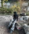 _urbaneva Altpins Profile Picture