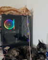 littlemiauwu Altpins Profile Picture