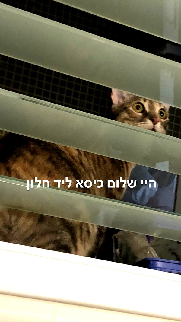Archived image from @notchicore on Instagram