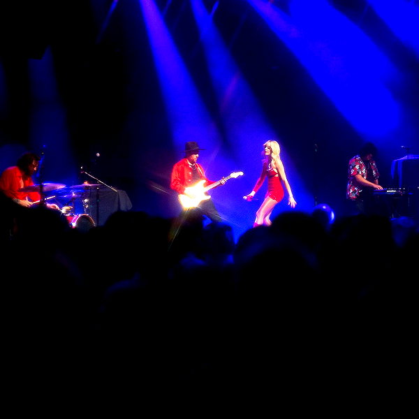 cannonstheband instagram image archive image