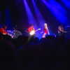 cannonstheband Altpins Profile Picture