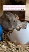 _urbaneva Altpins Profile Picture