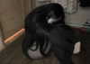 basementbabydoll Altpins Profile Picture