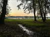 forestowwwl Altpins Profile Picture