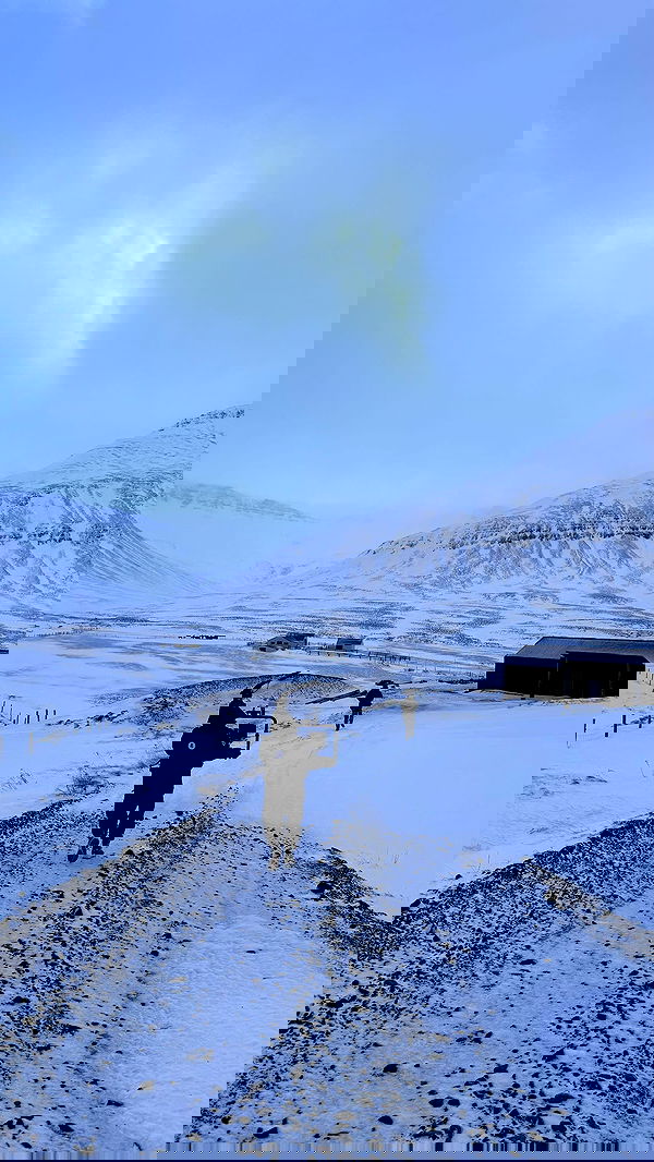 alexis.blond alexis.blond archive image