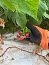 _hilaluu Altpins Profile Picture