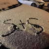 skylasanders Altpins Profile Picture
