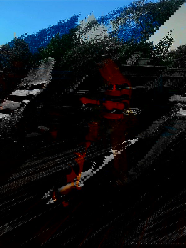 kitty.elliss kitty.elliss archive image