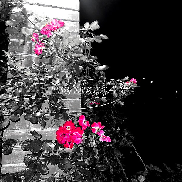 nixqq.425_ instagram image archive image