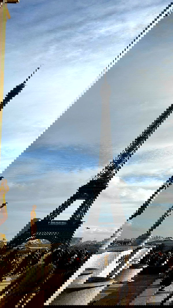 manjolamuriqi manjolamuriqi archive image