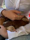 leahhalton Altpins Profile Picture