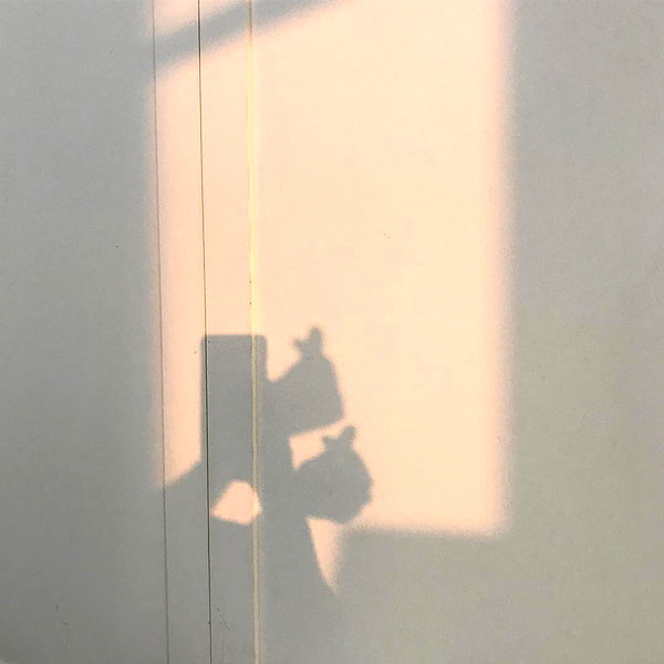 daxbin instagram image archive image