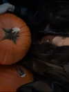 astarwbry_ Altpins Profile Picture