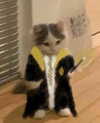 1uvgabi Altpins Profile Picture