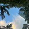 camimendes Altpins Profile Picture