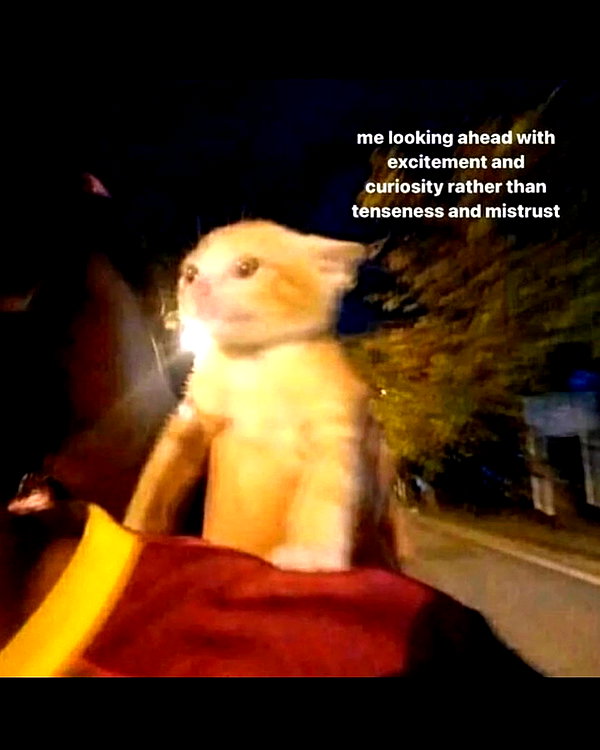leanbeefpatty instagram image archive image