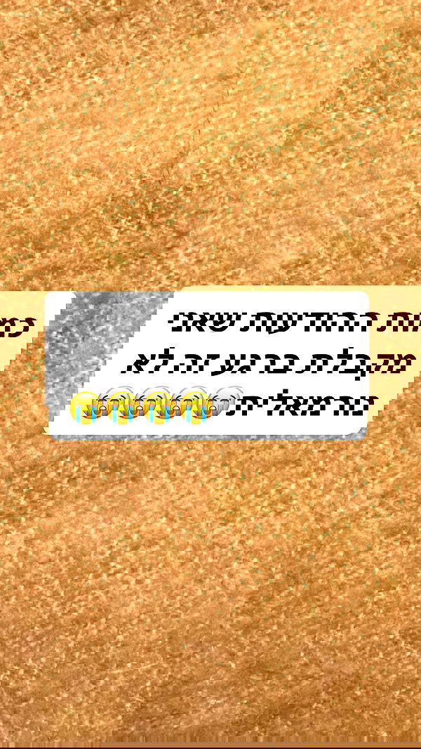 shelly_.mor shelly_.mor archive image